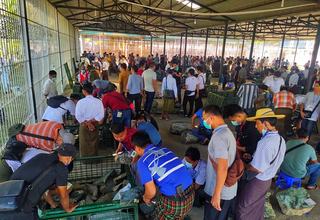 ၂၀၂၂ ခုနှစ်၊ နှစ်လယ်မြန်မာ့ကျောက်မျက်ရတနာပြပွဲ တတိယနေ့ကို နေပြည်တော်ရှိ မဏိရတနာကျောက်စိမ်းခန်းမ၌ ဆက်လက်ကျင်းပ